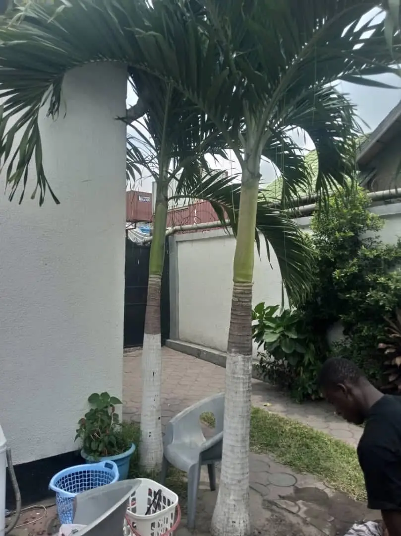 Grande Maison à Vendre à Ngaliema Delvaux – Kinshasa 🇨🇩