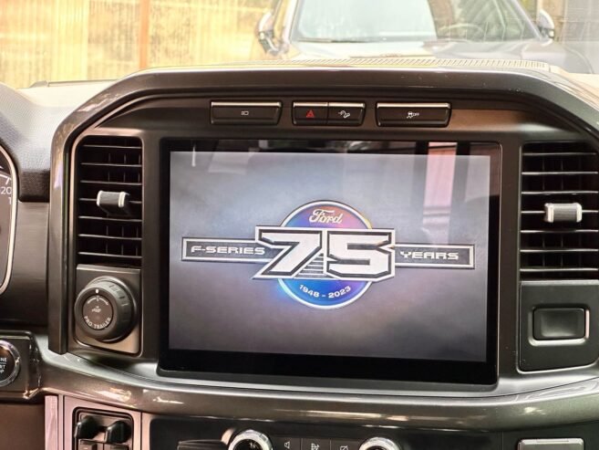 FORD F150 (2023)