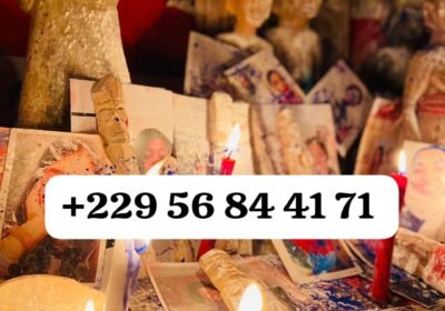 199fe5bf-114d-4b48-87f4-727112ed6261