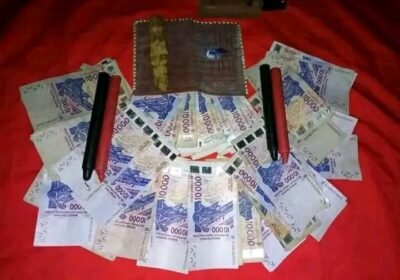 6018090a-c9f3-4f08-90d3-666858da4c98-2