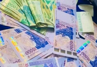 7cca7d77-2913-4ce8-a24f-08758b4cea98