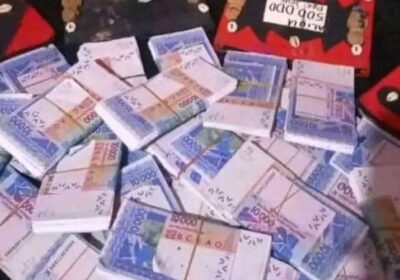 8d71504a-0072-4d0d-864f-99434ce82086