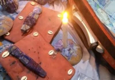 99d6a7c8-663f-413a-b89f-75c221895131-1