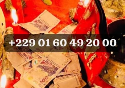 IMG-20260129-WA0034-2