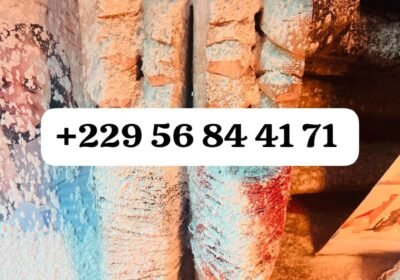 b9b38121-a5a0-40d9-8471-b6d1f9c210ca