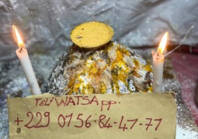 c3cb981f-9084-4661-a2e9-7f820687fbaf