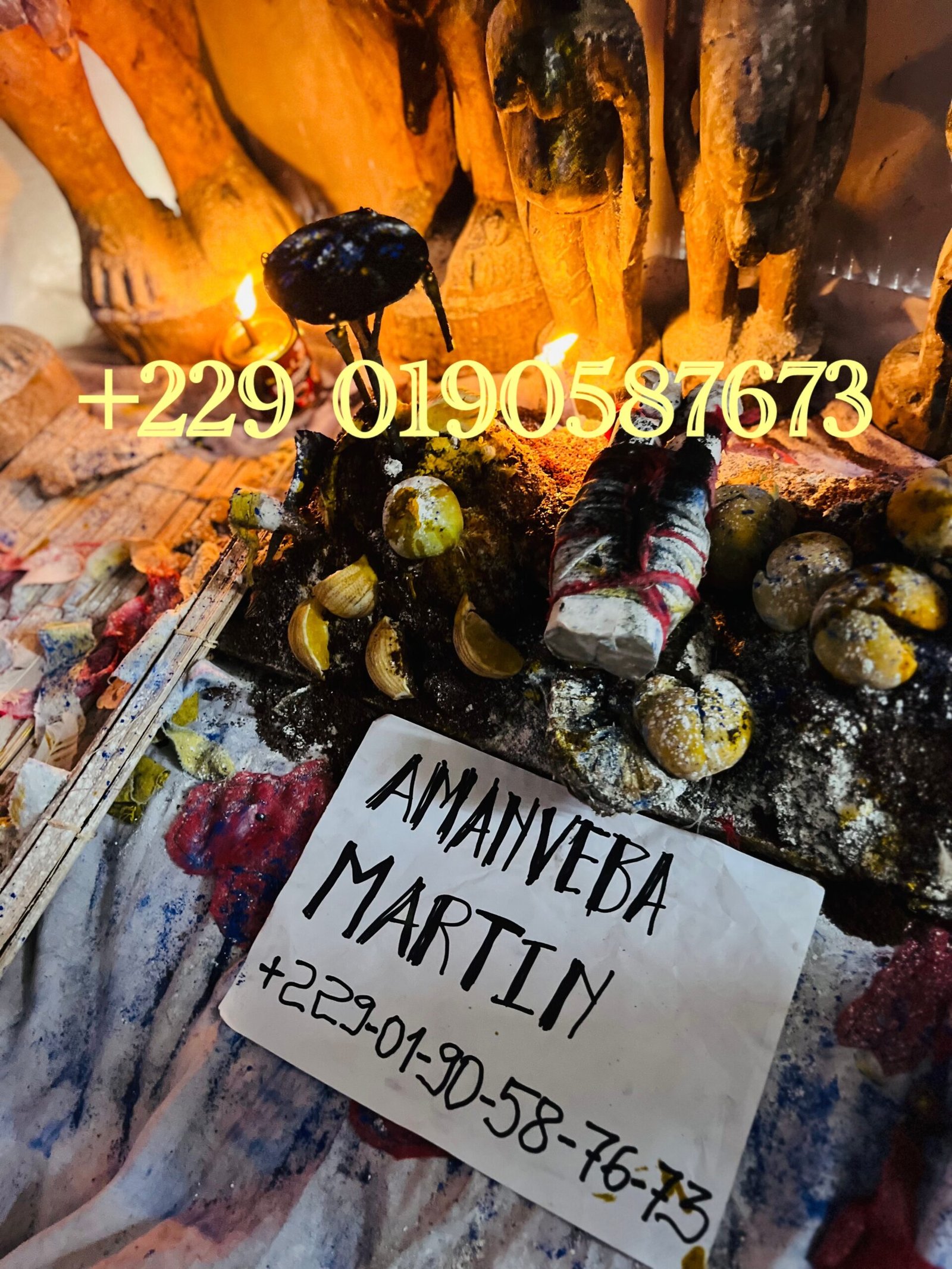 Comment fonctionne le portefeuille Magique en Euro +229 0190587673