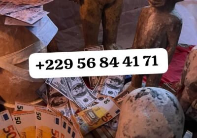 24817e84-9cf7-4237-a1db-9876f38947bb