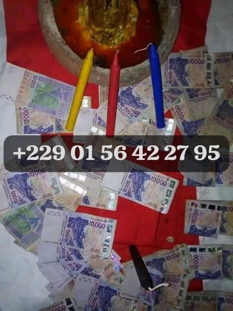 COMMENT AVOIR LE VRAI PORTEFEUILLE MAGIQUE+229 01 56 42 27 95