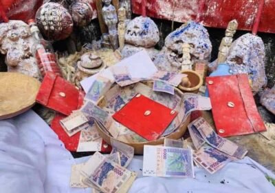 89c813bb-fc1b-49e4-83c2-6fb4842e8d06