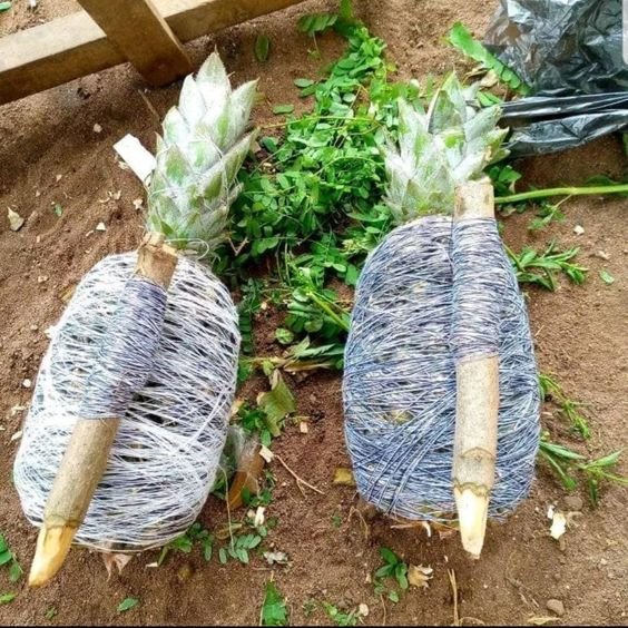 Retour d’affection immédiat. : +2290197486221