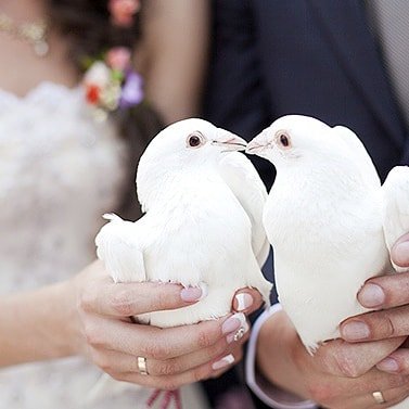 Rituels d’amour puissant : +2290151544168