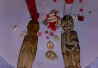 IMG-20260217-WA0000-5