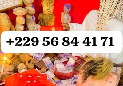 e864aad6-a513-42ea-9263-e35a37b7fa9d