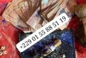 Comment le vrai portefeuille magique marche sans conséquence à distance+229 01 55 88 51 19