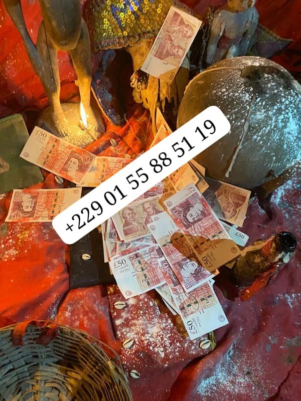 Quelles sont les conditions pour avoir le portefeuille magique ? +229 01 55 88 51 19