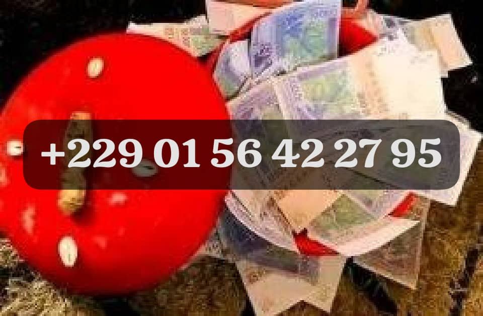 OBTENIR LE VRAI PORTEFEUILLE MAGIQUE EN DOLLARS A DISTANCE +229 01 56 42 27 95