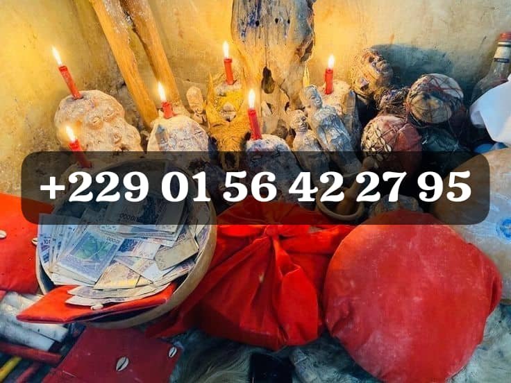 LE VRAI PORTEFEUILLE MAGIQUE A DISTANCE ? +229 01 56 42 27 95