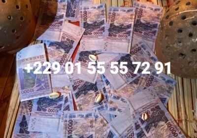 IMG-20250722-WA00081