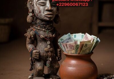 WhatsApp-Image-2026-03-11-at-10.36.27