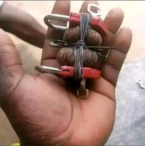 LE TRAVAIL DE CADENAS POUR DOMPTAGE À VIE