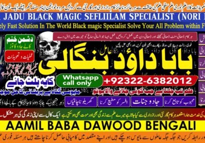 WhatsApp-Image-2026-04-21-at-12.10.41-PM-1