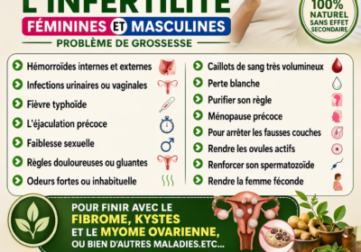 file_00000000ab5c720a9db9ab0a2dd67047-1