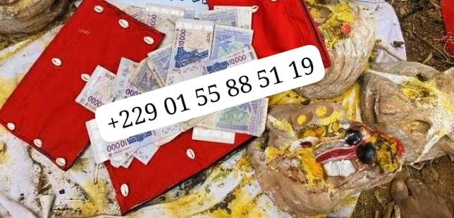 COMMENT PEUX ON AVOIR LE VRAI PORTEFEUILLE MAGIQUE À DISTANCE+229 01 55 88 51 19