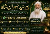 Officially #1 Certified Amil Baba In Sahiwal, Okara, Hafizabad, Mandi Bahauddin, Jhelum, Jaranwala, Wazirabad & Taxila