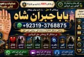 Arthorized #1 Amil Baba In Bahawalpur, Sargodha, Sialkot, Sheikhupura, Rahim Yar Khan, Jhang, Dera Ghazi Khan & Gujrat