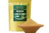 Tabernanthe iboga plant for Sale +27736310260 Ibogaine