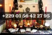 Vrai portefeuille magique +229 01 56 42 27 95