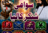Amil Baba in Bahawalpur, Amil Baba in Rahim Yar Khan, Amil Baba in Bahawalnagar, Amil Baba in Khanpur