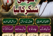 Amil Baba in Bahawalpur, Amil Baba in Rahim Yar Khan, Amil Baba in Bahawalnagar, Amil Baba in Khanpur