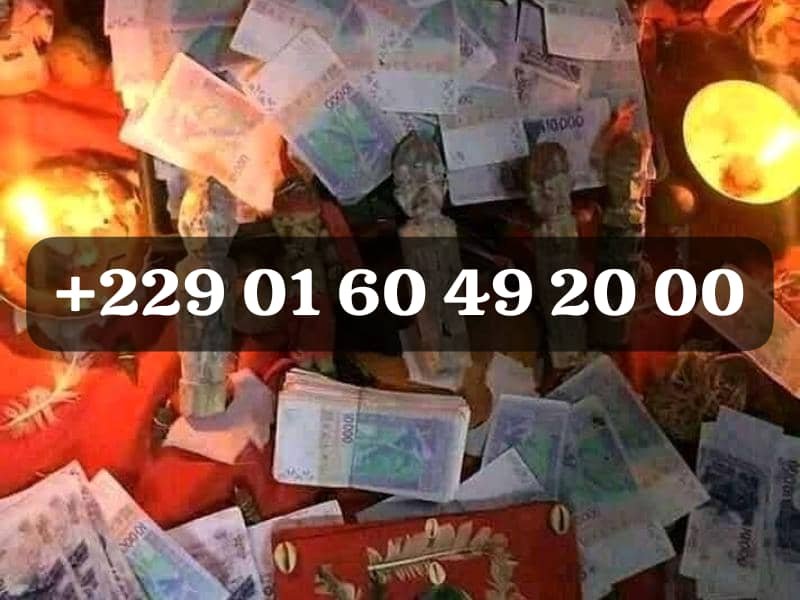BON TOUT SAVOIR SUR LE VRAI PORTEFEUILLE MAGIQUE , +229 01 60 49 20 00 COMMENT OBTENIR LE PORTEFEUILLE ?