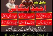 No1 Amil Baba pakistan, best Baba pakistan, bangali amil Baba uk