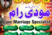 Hindu Trusted amil Baba authentic amil Baba Pakistan Hindu amil Baba Germany hindu amil Baba Lahore