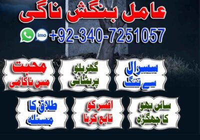 WhatsApp-Image-2026-08-18-at-12.23.25-PM-2