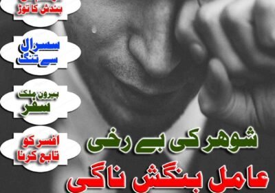 WhatsApp-Image-2026-08-18-at-12.23.29-PM-1