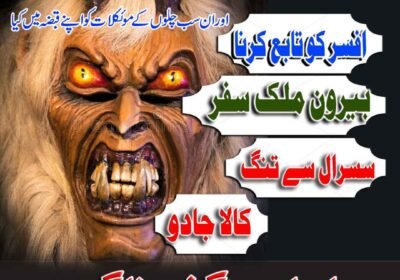WhatsApp-Image-2026-08-18-at-12.23.30-PM-2