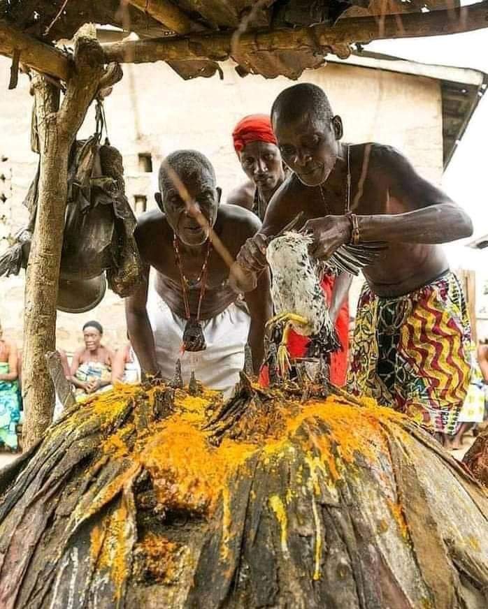 +229 0160492000 -Le Vrai marabout du bénin-Le plus grand marabout du bénin-le plus grand et puissant maitre marabout du monde et d’afrique
