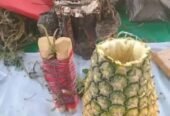 +229 94 57 06 80 le plus grand et puissant marabout du monde et d’Afrique