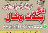 Amil baba Asli Amil Baba kala jadu Astrologer amil baba kala jadu canada kala jadu Pakistan black magic expert