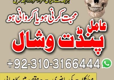 wishal-29